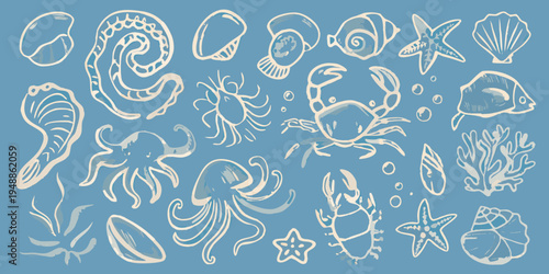 A collection of hand drawn marine life and seashells on blue