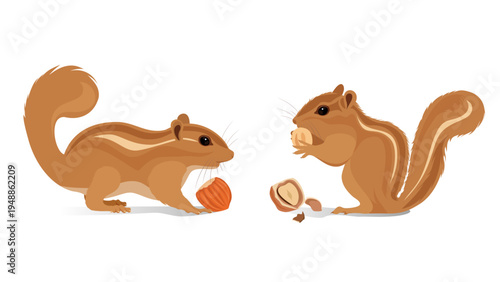 Minimalist flat vector illustration of two chipmunks with hazelnuts, one on the left holding an acorn and one on the right eating a cracked nut
