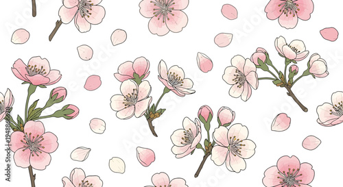 Repeating Pattern of Pink Cherry Blossoms and Falling Petals, Isolated White Background.