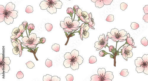 Delicate Pink Cherry Blossoms and Scattered Petals Seamless Pattern, Isolated White Background.