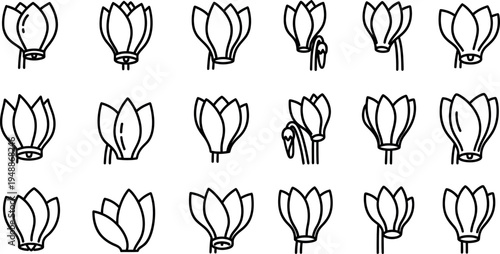 Black line of tulips in various stages flower line black and white outline simple