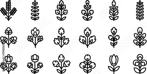 Black line of various flowers and plants black line flowers plant silhouettes