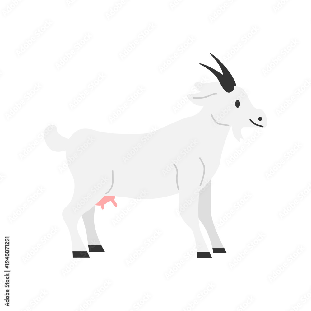 Obraz premium goat on white background