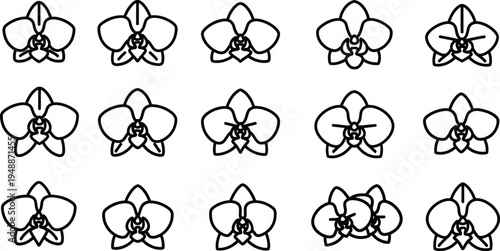 Black line of various orchid flowers line black and white floral botanical
