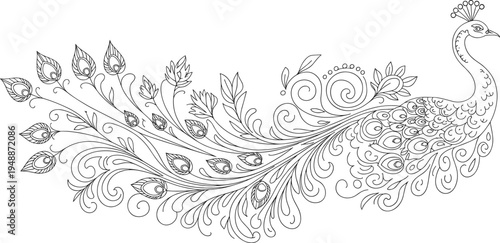 A black and white line of a peacock with intricate feather details and swirling patterns feathers