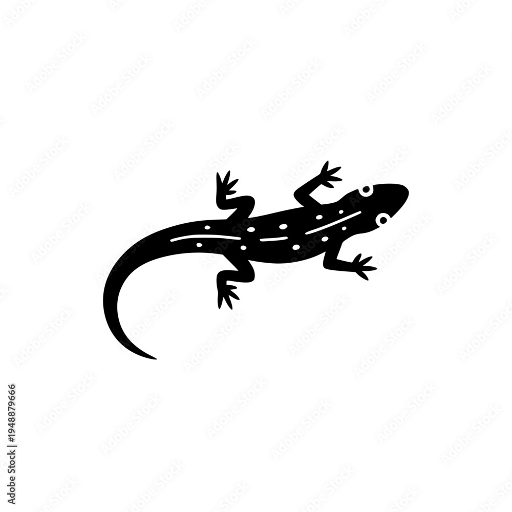 Fototapeta premium Isolated lizard reptile wildlife animal creature such as a gecko or iguana on a white background