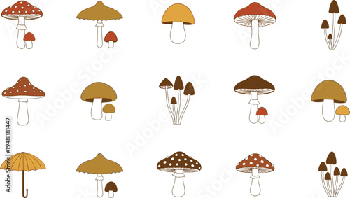 Set of colorful mushroom illustrations, different types of forest fungi and toadstool characters, vector icons of autumn nature isolated on white background
