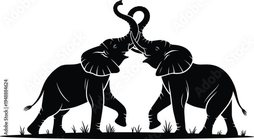 Elephant battle silhouette vector illustration with two wild elephants clashing trunks, powerful wildlife animal scene isolated on white background for nature design