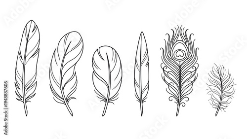 A collection of six different hand-drawn feather illustrations in black and white line art style, showcasing various shapes and patterns including a peacock feather.