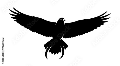 Black raven silhouette with spread wings, flying crow vector illustration, majestic bird of prey isolated on white background