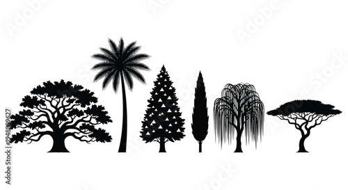 Tree silhouettes illustration featuring deciduous, palm, conifer, cypress, willow, acacia, diverse foliage artwork and botanical nature design collection