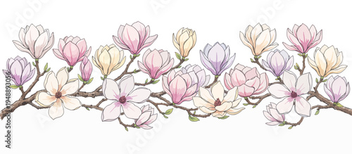 Magnolia flower branch botanical illustration. Hand-drawn vector floral design element isolated on transparent background