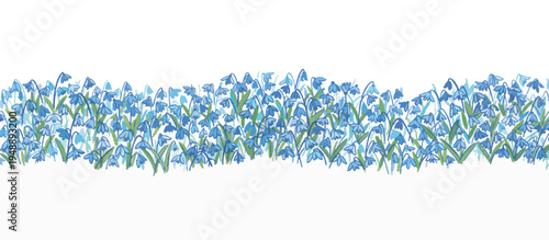 Blue scilla siberica flowers horizontal border. Hand drawn spring vector illustration