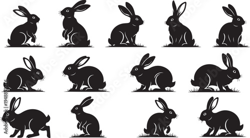Silhouette of multiple rabbits in various poses and movements