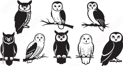 Collection of owl silhouettes in various poses and styles