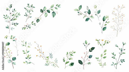 Soft botanical illustration featuring tiny flowers and leaves in flowing horizontal lines