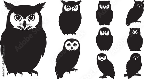 Collection of owl silhouettes in various poses and sizes