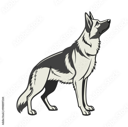 Majestic German Shepherd Dog Vector Illustration 