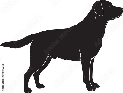 Black Labrador Retriever dog vector silhouette