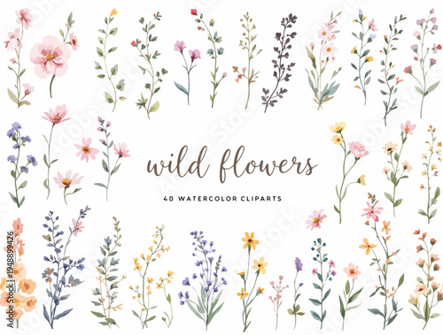 Delicate spring flower arrangements forming soft horizontal borders perfect for invitations, cards, and journals.