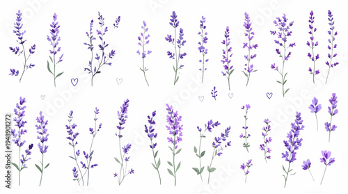 background with lavender
