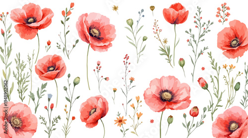 seamless background with poppies