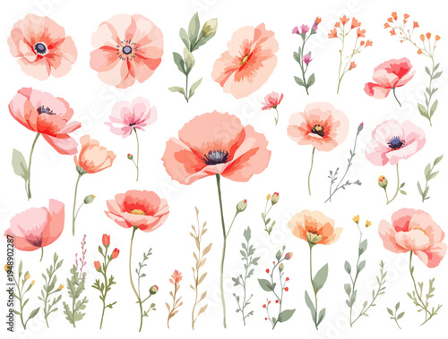 background with poppies