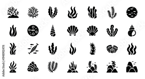 Underwater Sea Life Icons: Coral, Shells, Fish, Seaweed, Rocks, Glyph Art