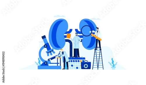 Medical doctors examining large human kidneys with microscope and magnifying glass for nephrology research and health diagnosis.
