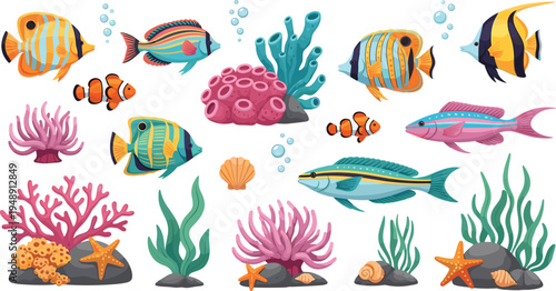 Colorful Tropical Reef Fish and Coral Collection with Clownfish, Sea Plants, Starfish and Underwater Marine Life Vector Illustration Set