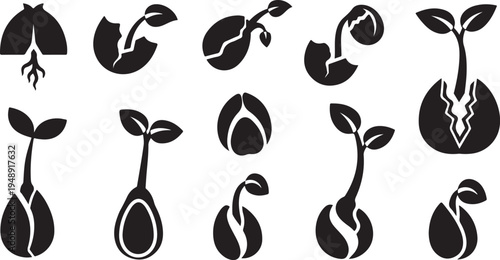 Sprouting Seeds and Growing Plants Icon Set