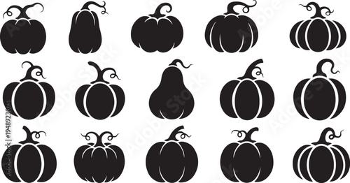 Black silhouettes of pumpkins and gourds on white background