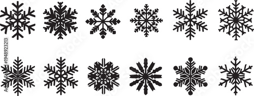 Collection of unique black snowflakes on white background illustration