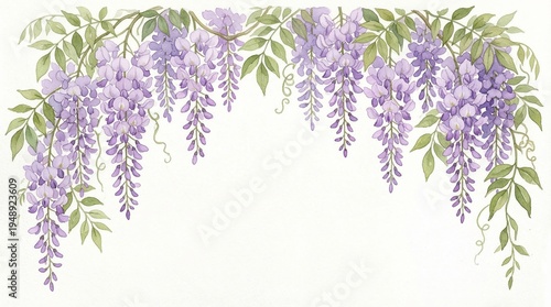 A beautiful floral arrangement of purple wisteria flowers hanging from a branch with green leaves on a white background
