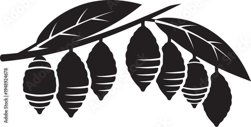 Silhouette of cocoons hanging from a leafy tree branch