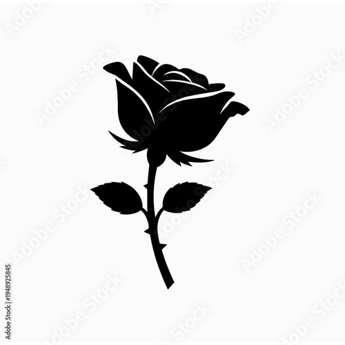 Fotografie A silhouette of a long-stemmed rose flower, a symbol of beauty and passion
