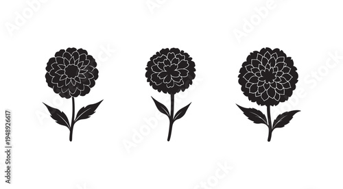 Black and white flower silhouettes with white outlines  three identical flowers with leaves on white background  simple floral illustrations