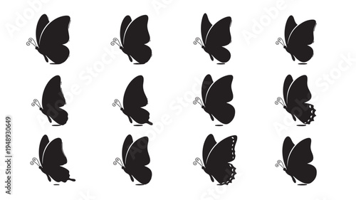 Silhouettes of butterflies in black, showing various wing positions and subtle details of antennae. featuring butterfly, silhouette, insect with