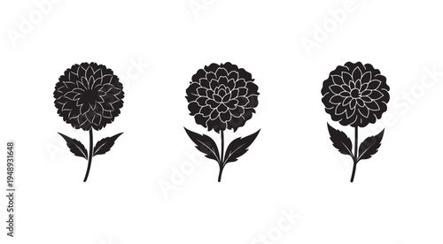 Black and white illustrations of three flowers with leaves on white background  simple floral designs