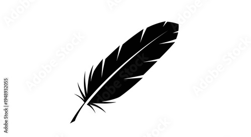 Black feather silhouette against a white background.
