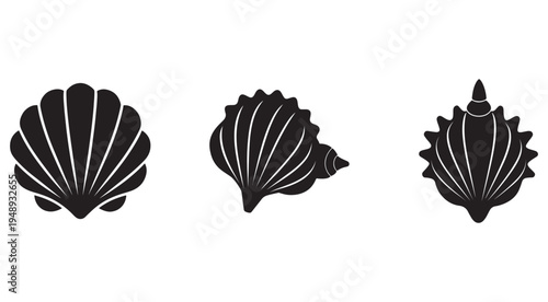 Black silhouettes of scallop seashells on white background  sea shells  ocean shells  marine life
