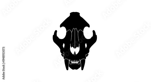 Flat Lion Skull