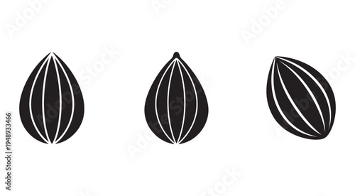 Blackandwhite illustrations of three walnuts in different orientations for food and nutrition concepts