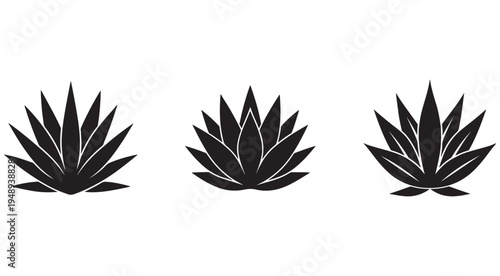 Three black agave plant silhouettes on white background for design and decoration purposes  agave plants