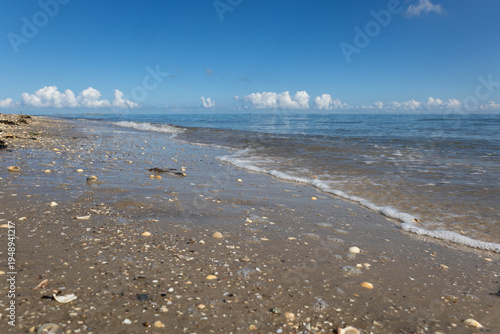 Foto Sandy beach covered in seashells with gentle waves washing ashore under a clear
