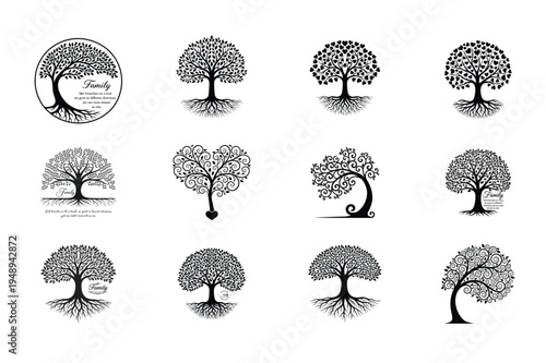 Family Tree Silhouette Collection With Roots Isolated on White Background