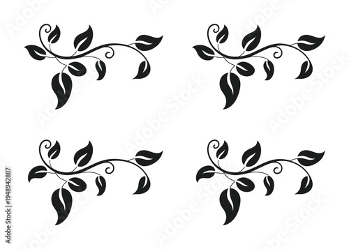 Vector of four ornamental leafy branches