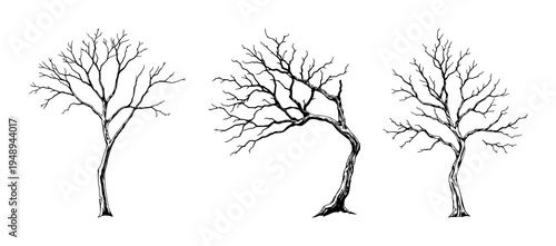 Dead Tree Branch set with isolated silhouette on white background featuring bark, leaf remnants, and natural decay with black line art and illustration
