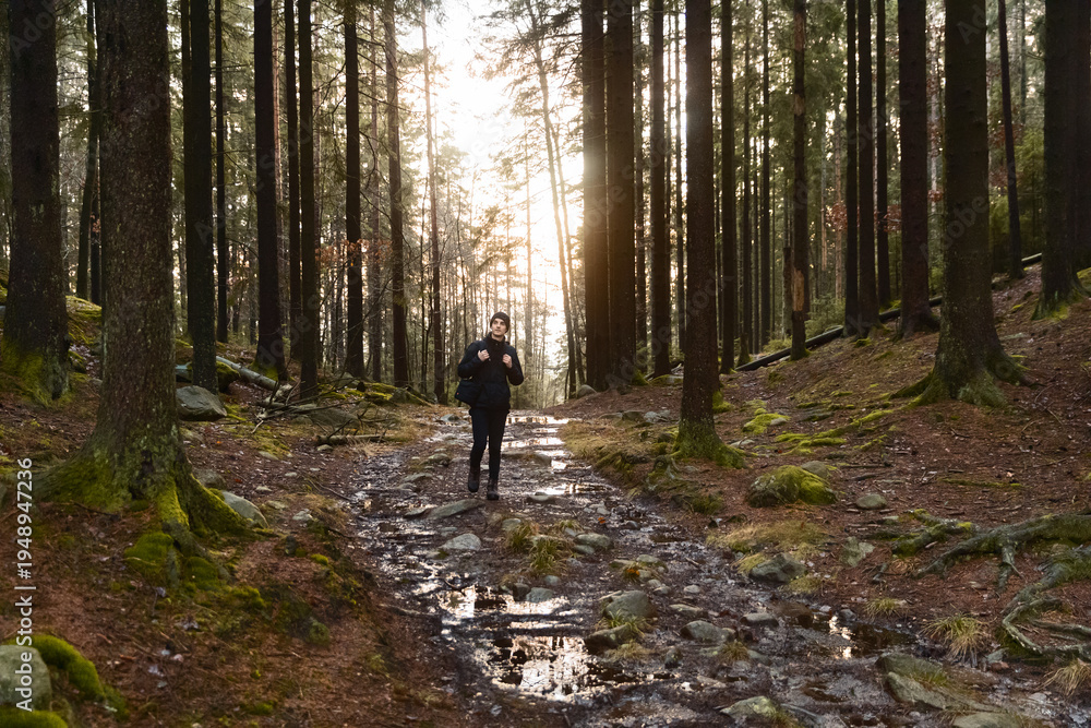 Fototapeta premium Young man in black outdoor gear and beanie walking on a muddy, rocky path through a dense pine forest at sunset. Golden sunlight filters through tall trees, creating a moody, atmospheric woodland.