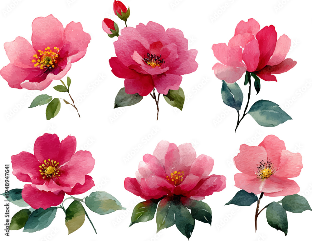 Fototapeta premium collection of flowers